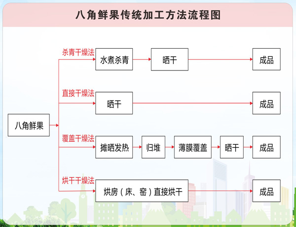 八角鲜果传统加工方法流程图