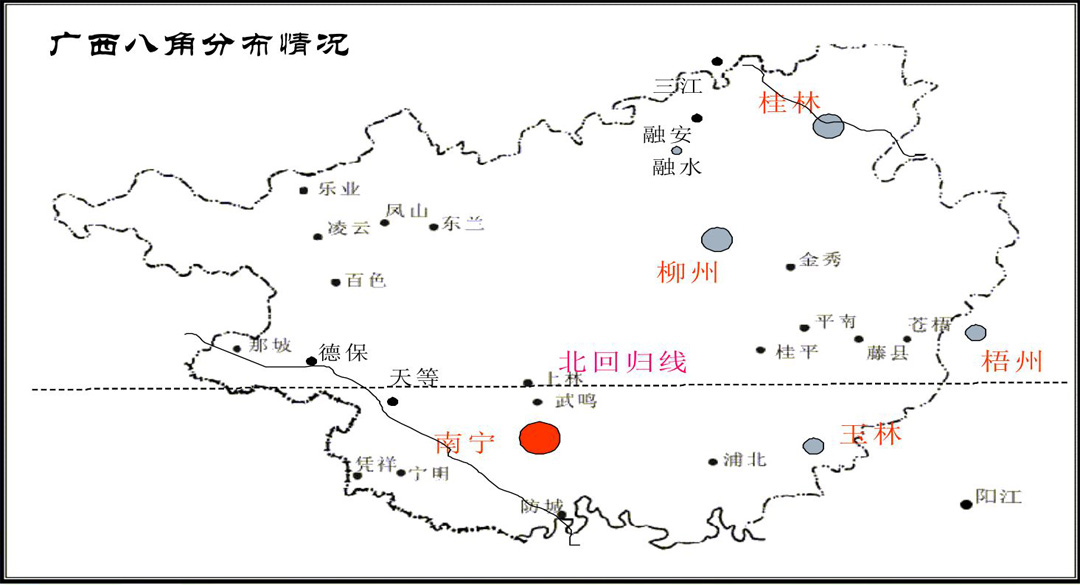 广西八角分部情况